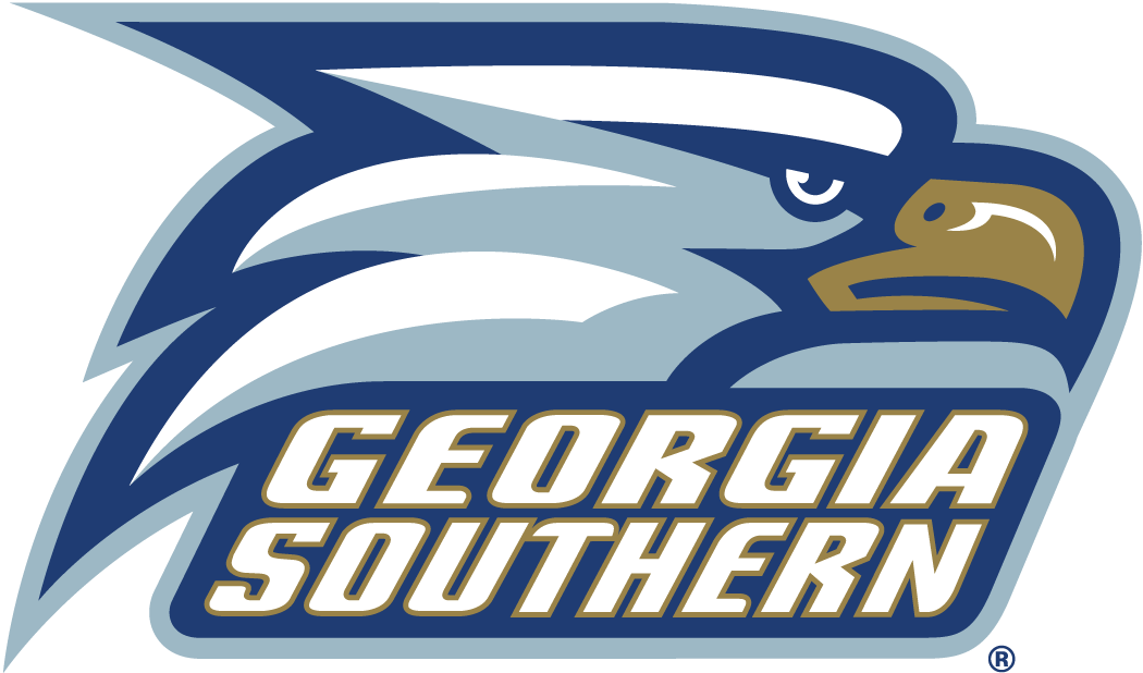 Georgia Southern Eagles 2004-Pres Alternate Logo DIY iron on transfer (heat transfer)...